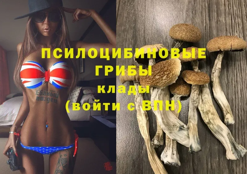 Галлюциногенные грибы MAGIC MUSHROOMS  Алексеевка 